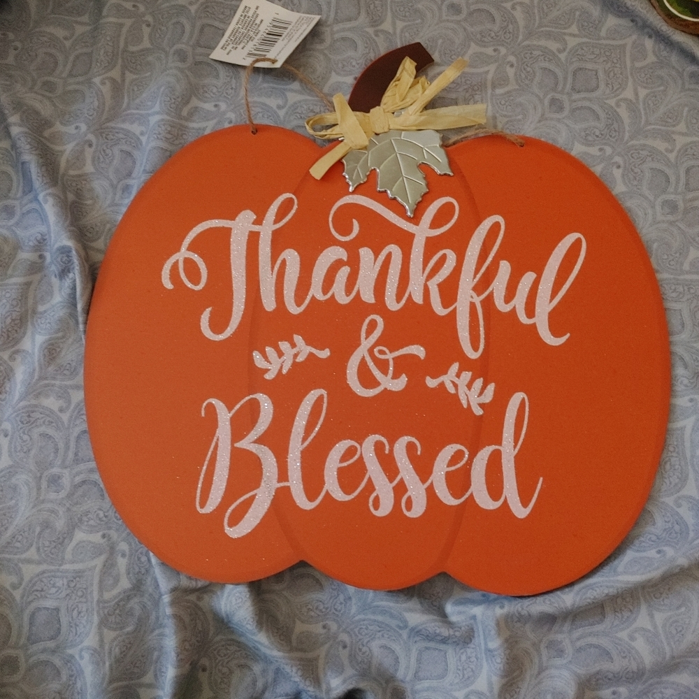 Wall/door hanger